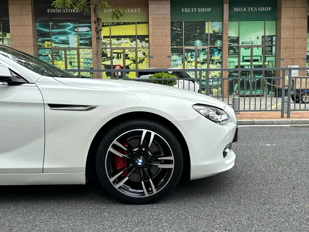 BMW 6 Series — миниатюра 6