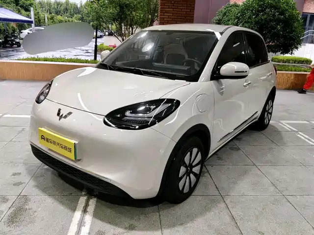 2024 Wuling Motors Binguo