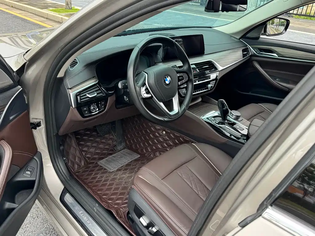 BMW 5 Series 5 2019 530Li Lead Luxury