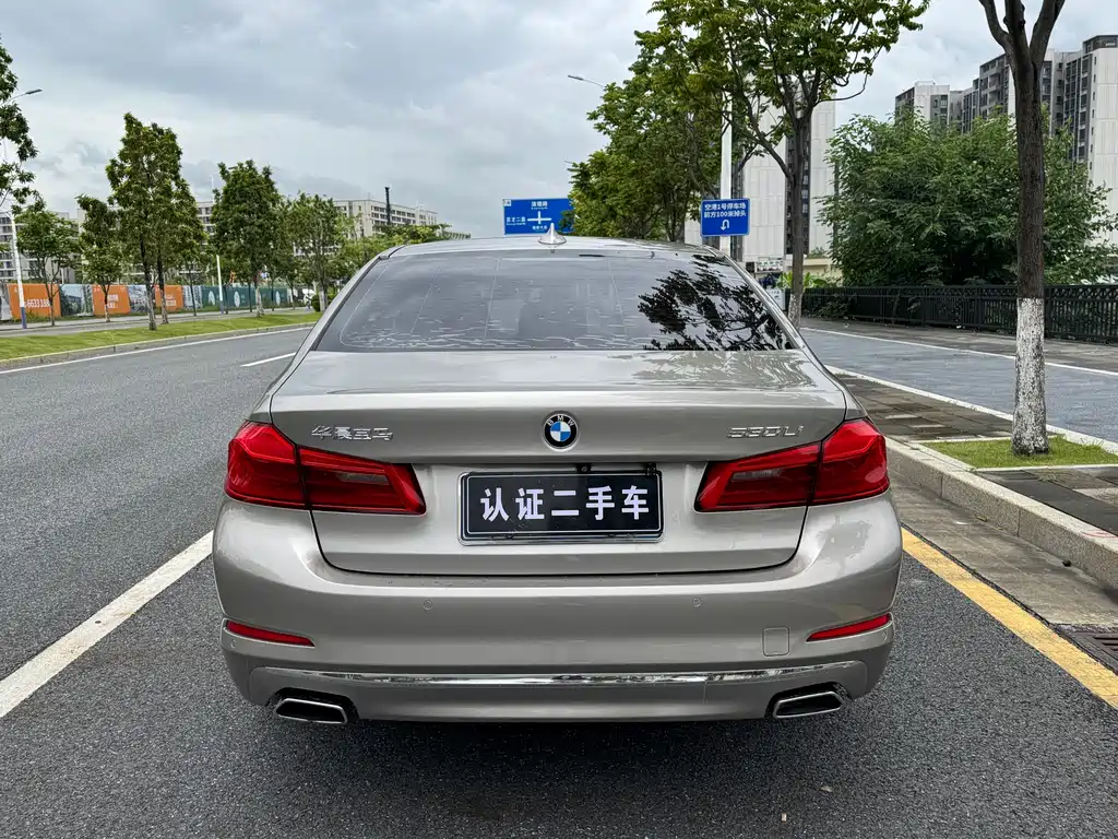 BMW 5 Series 5 2019 530Li Lead Luxury