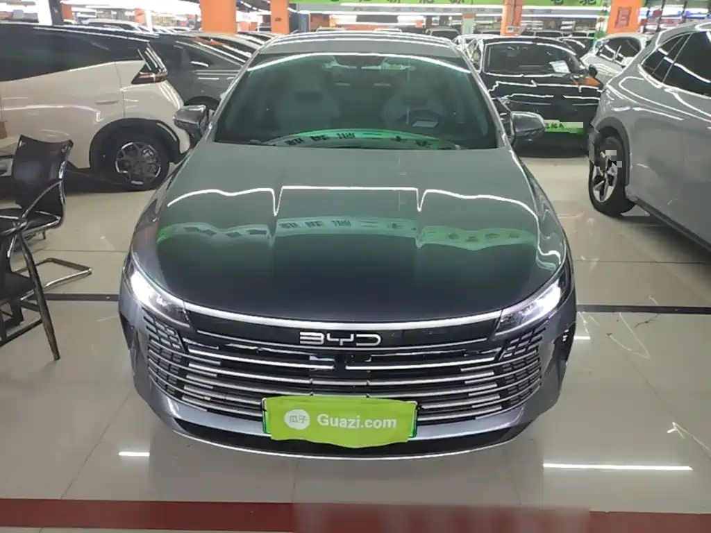 BYD Destroyer 05 2024 DM-i 55KM Luxury