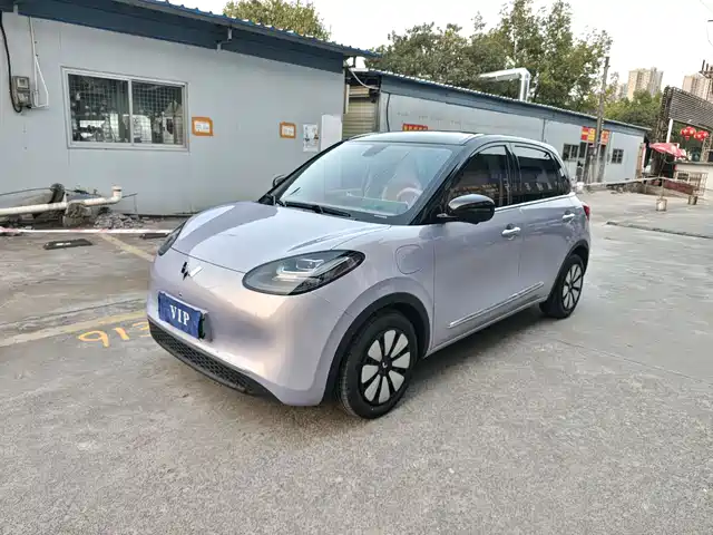 WULING WULING BINGGUO 2025