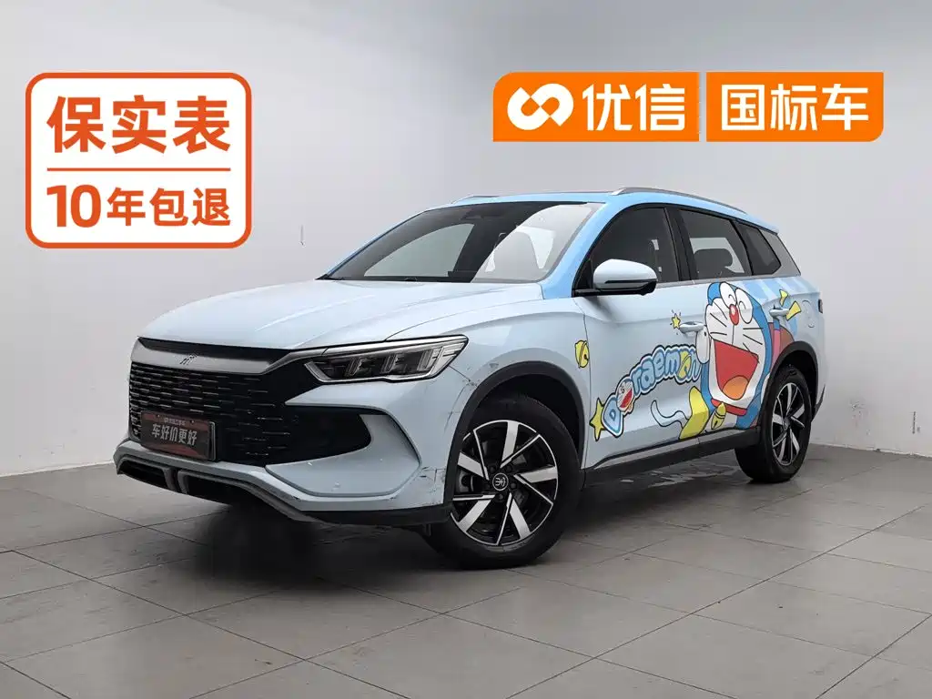 BYD Pro New Energy