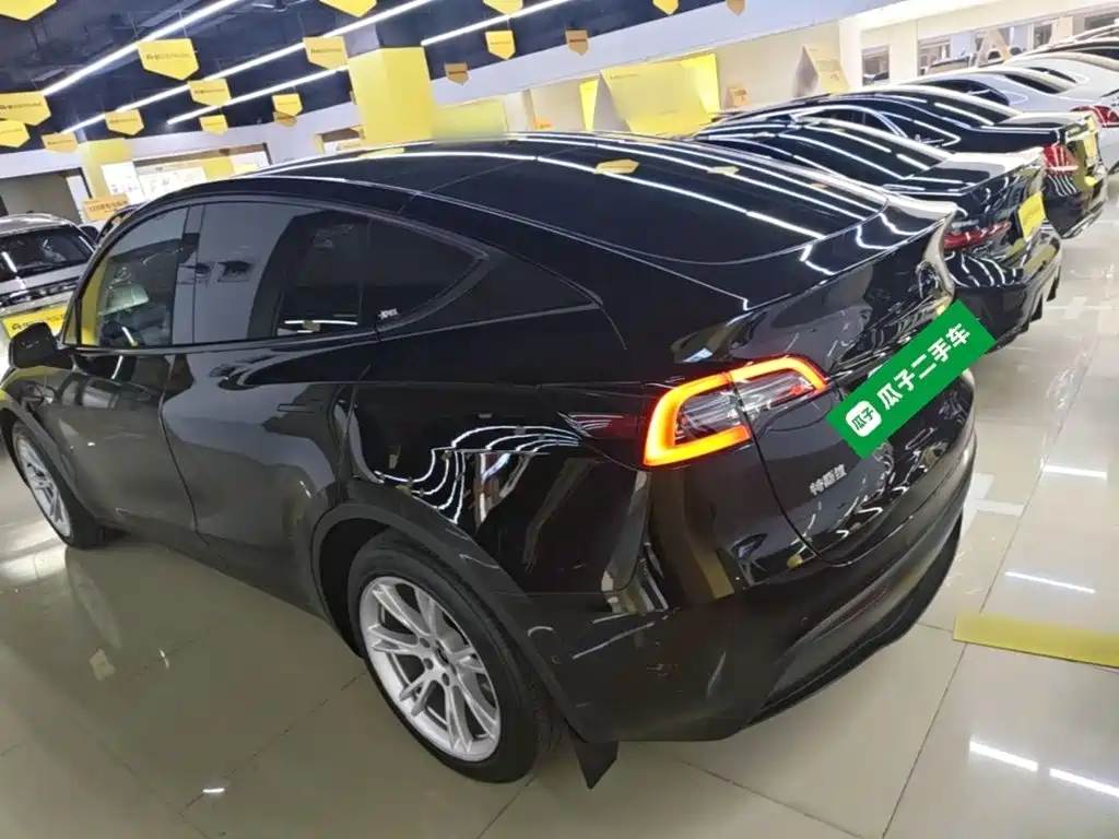 Tesla Model Y — миниатюра 5