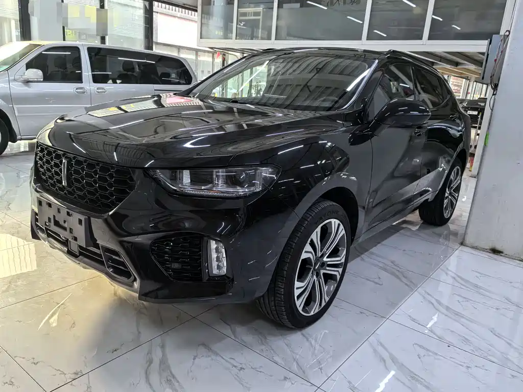 WEI PAI WEI BRAND VV5