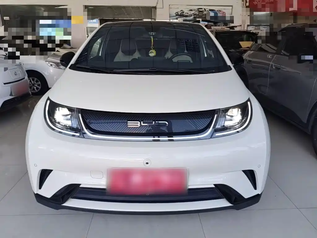 BYD Dolphin — миниатюра 3