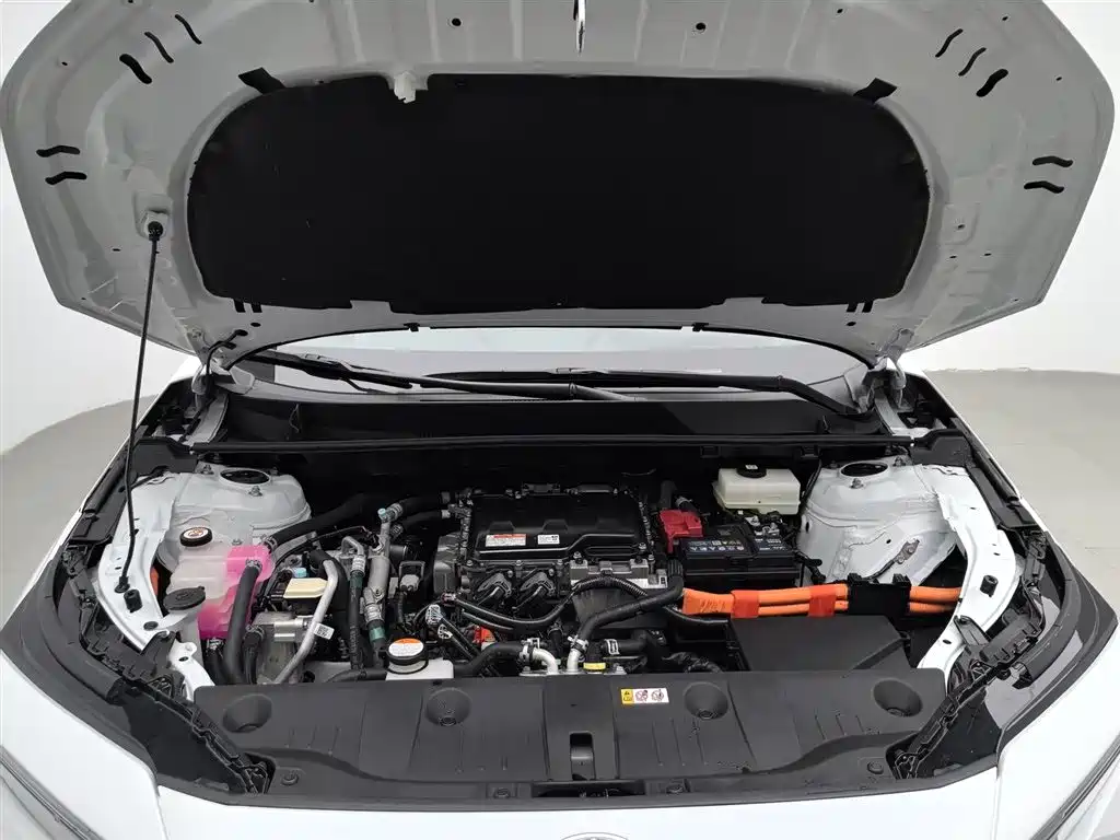 TOYOTA PLATINUM WISDOM 4X