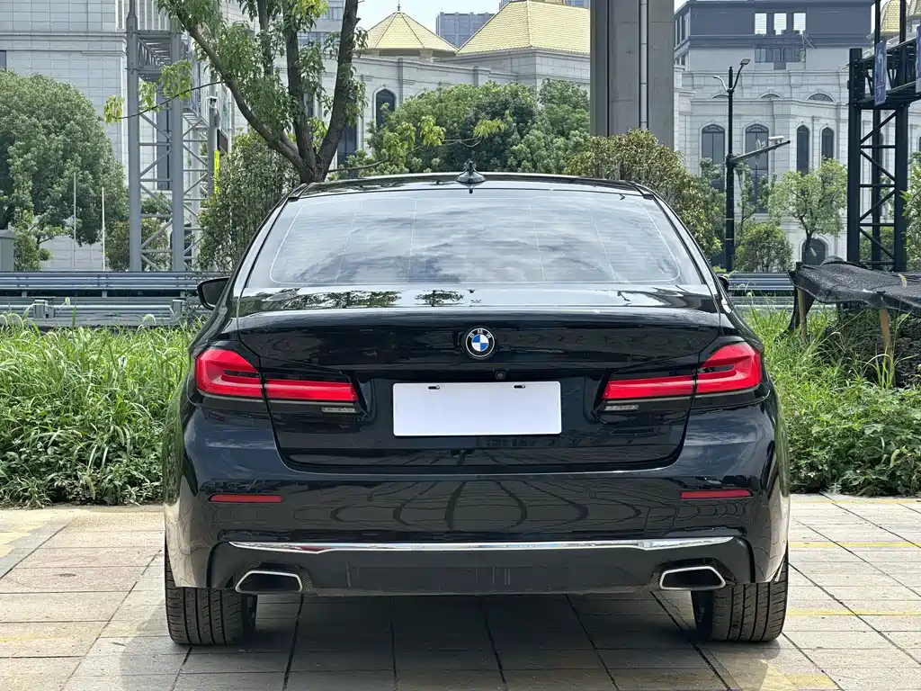 BMW 5 Series New Energy 535Le Luxury Package, фото 6