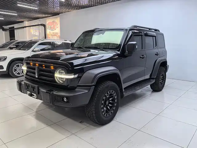 2021 TANK 300