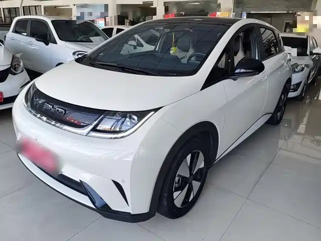 BYD Dolphin