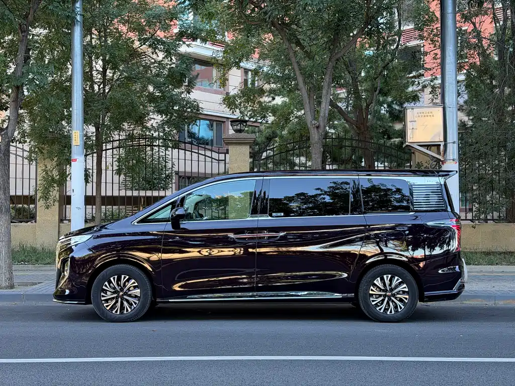 Hongqi Hongqi HQ9 PHEV — миниатюра 3