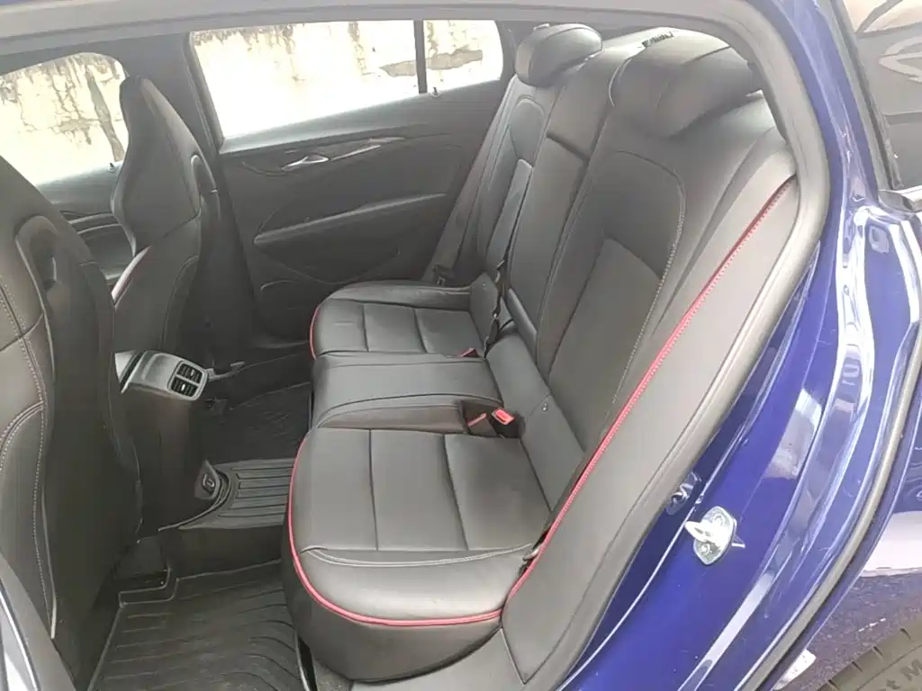 Buick Regal — миниатюра 17
