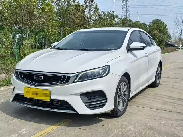 2019 Geely Binrui