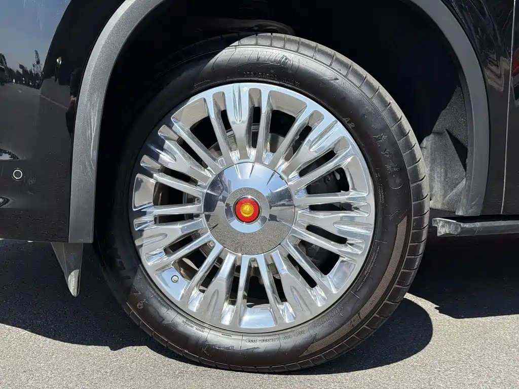 Hongqi Hongqi Golden Sunflower Guoyao — миниатюра 29