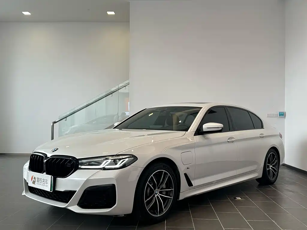 BMW 5 Series New Energy 2021