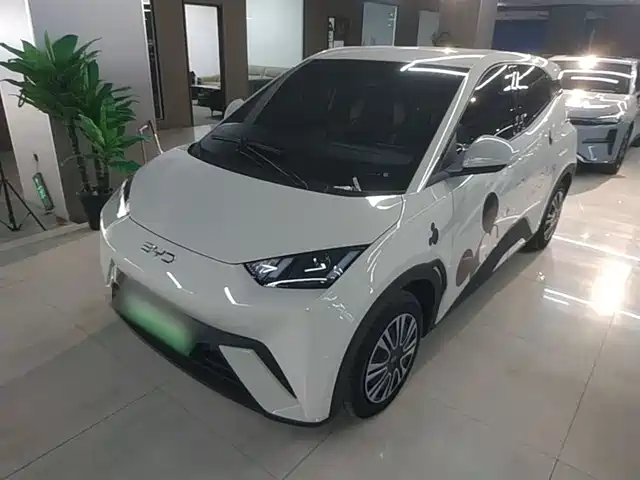 2025 BYD Seagull