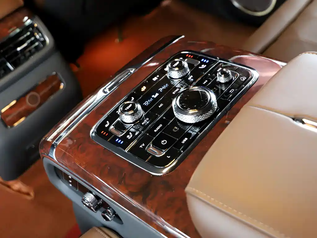 Hongqi Hongqi Golden Sunflower Guoyao — миниатюра 18