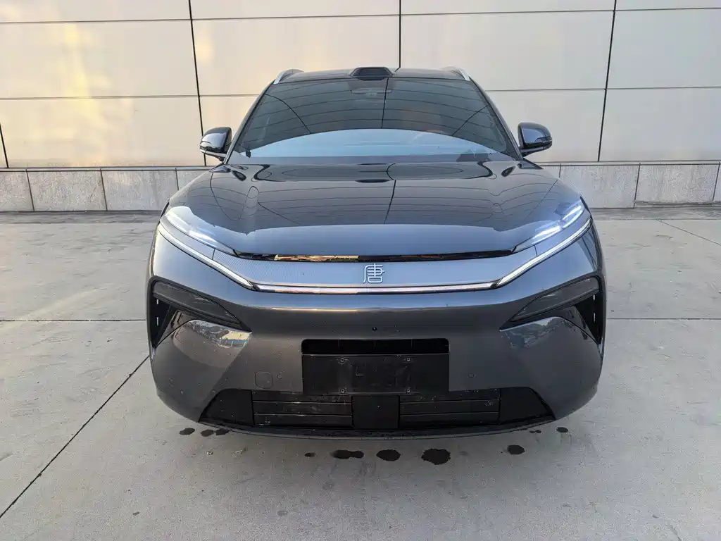 BYD Tang L - фото 2