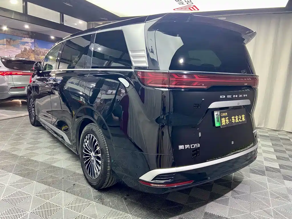 Denza Denza D9 — миниатюра 5