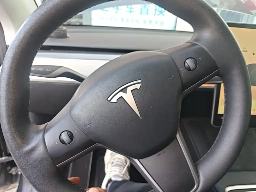 Tesla Model Y — миниатюра 9