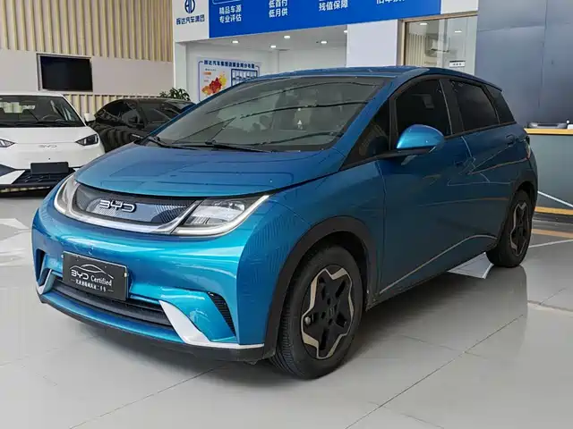 2022 BYD Dolphin