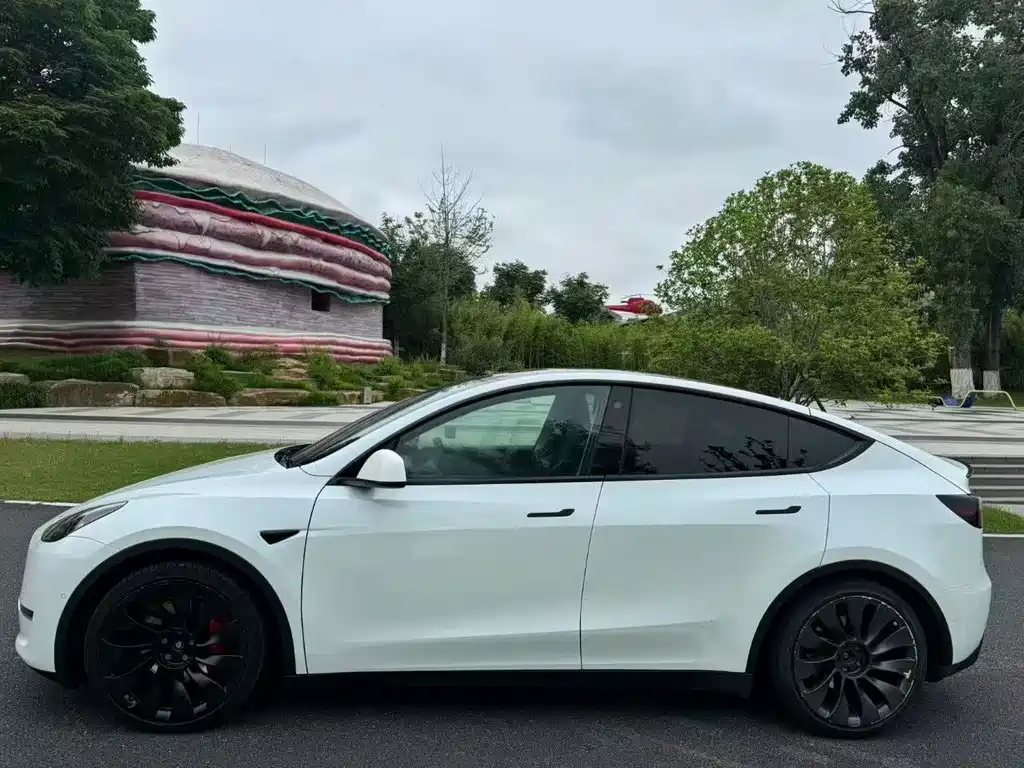 Tesla Model Y — миниатюра 6