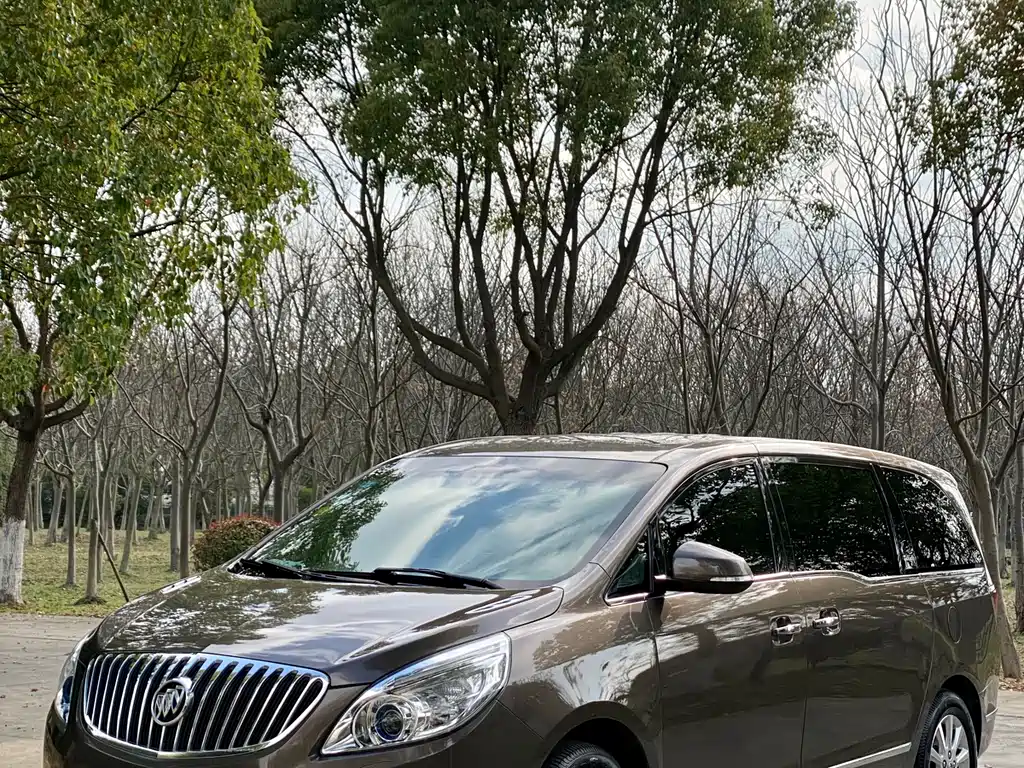 Buick GL8 2013