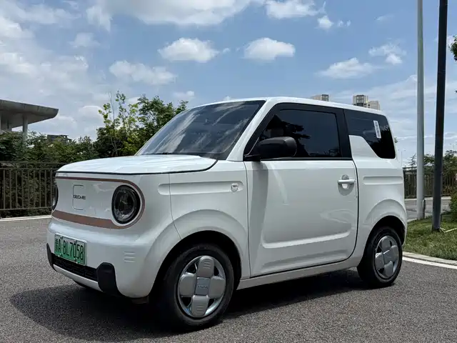 GEELY GALAXY PANDA 2024