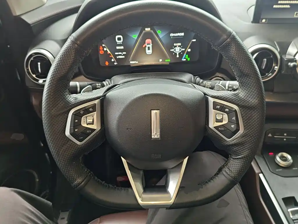 Wey Wey P8 — миниатюра 11