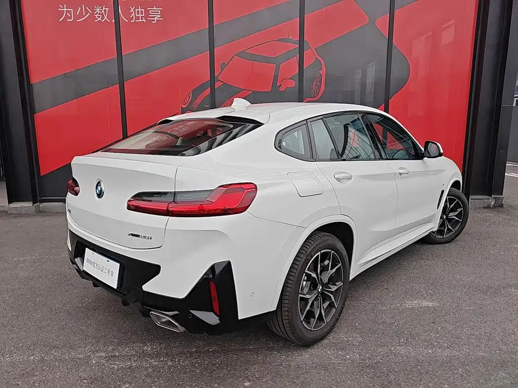 BMW X4 — миниатюра 3