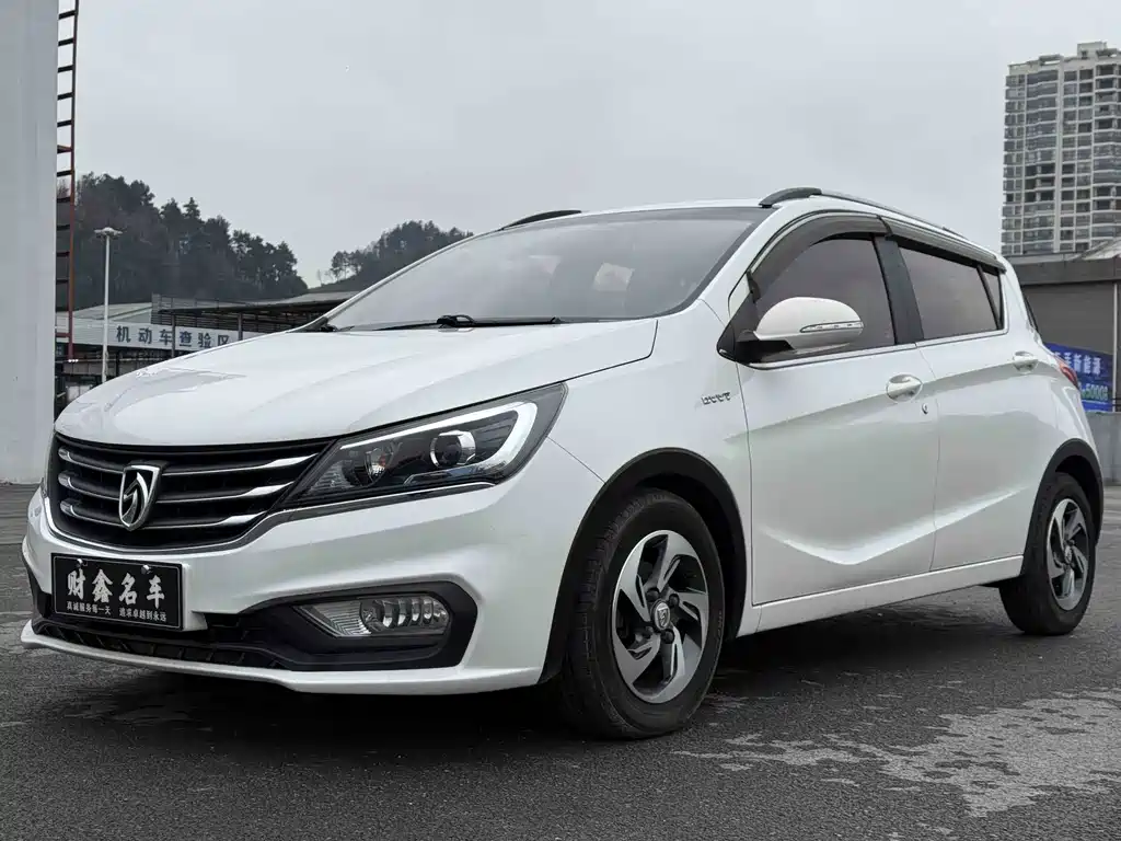 BAOJUN 310