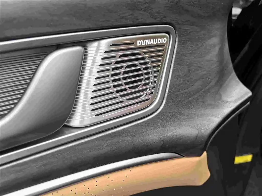 Denza Denza D9 — миниатюра 6