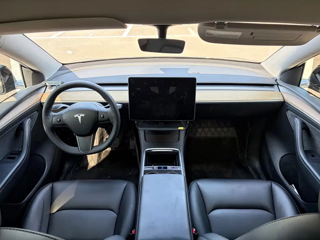 Tesla Model Y — миниатюра 9