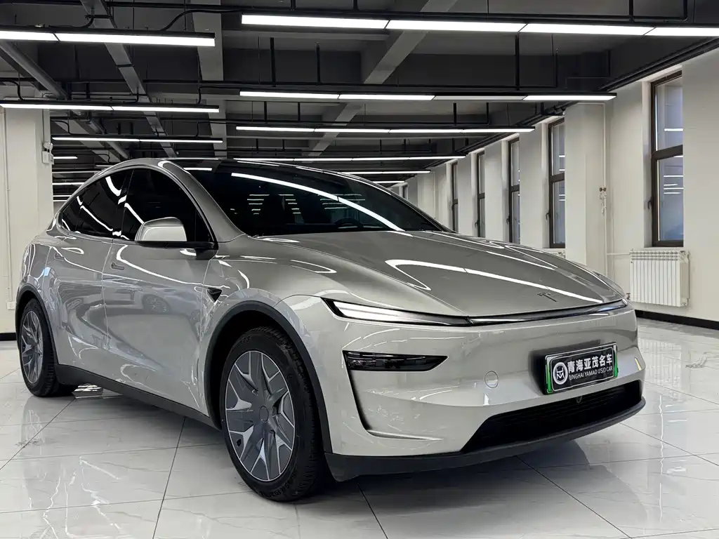 Tesla Model Y L — миниатюра 3