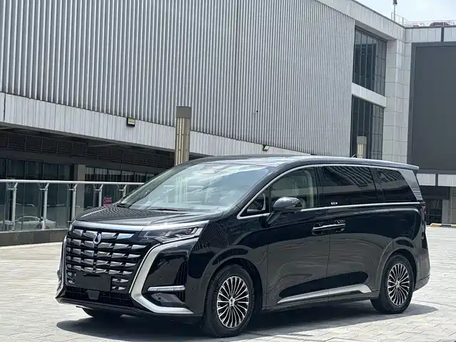 2024 Denza D9