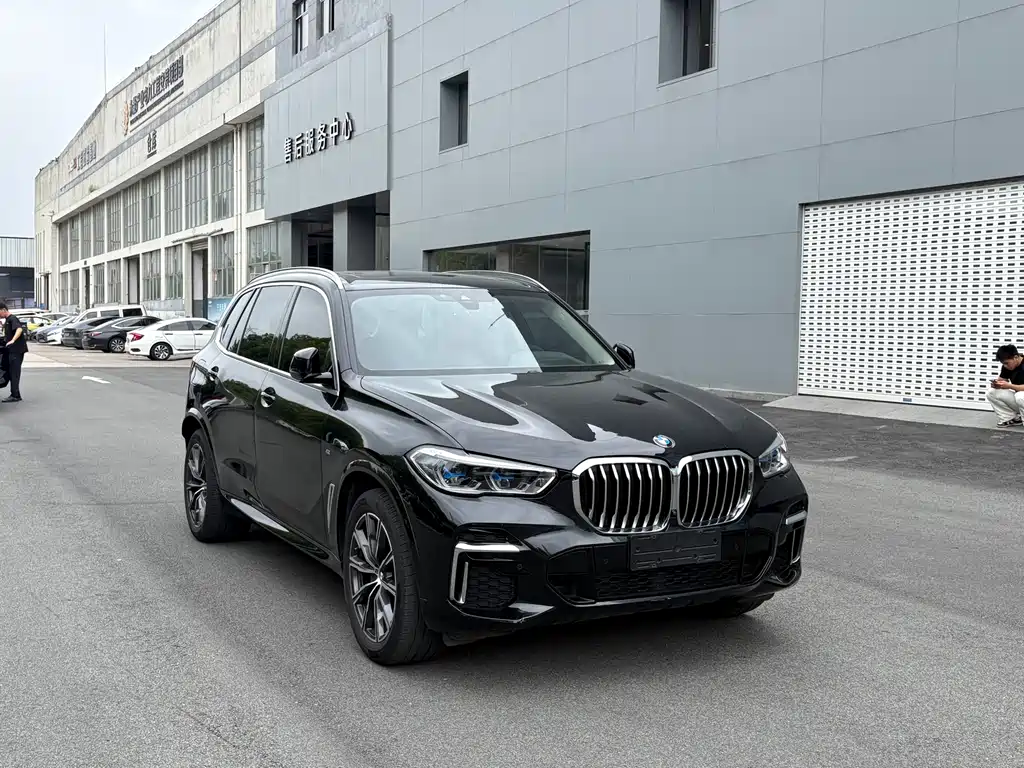 BMW X5 2022 xDrive 30Li M Sport