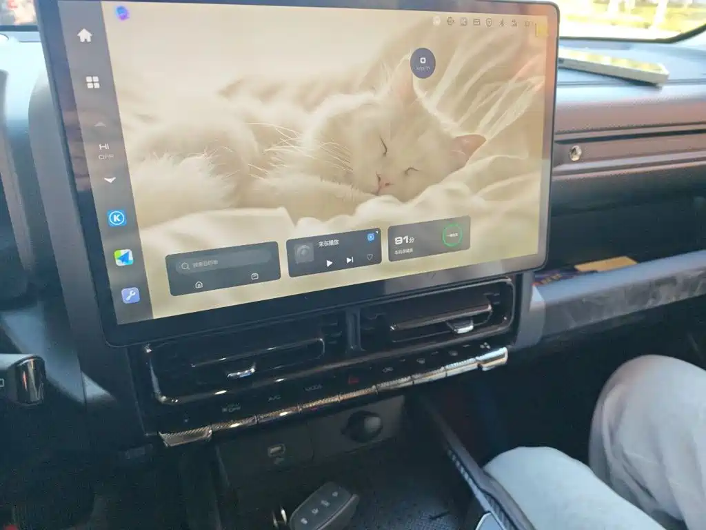 Haval Menglong New Energy — миниатюра 9