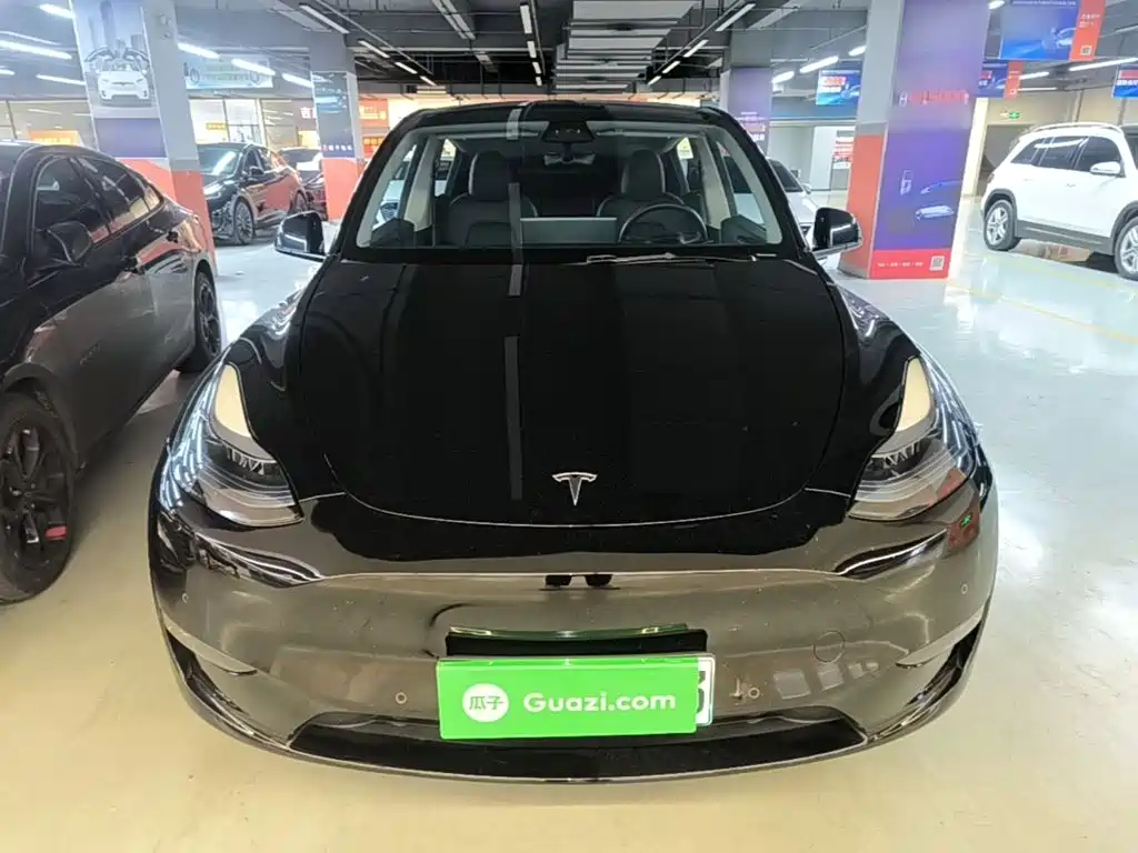 Tesla Model Y — миниатюра 3