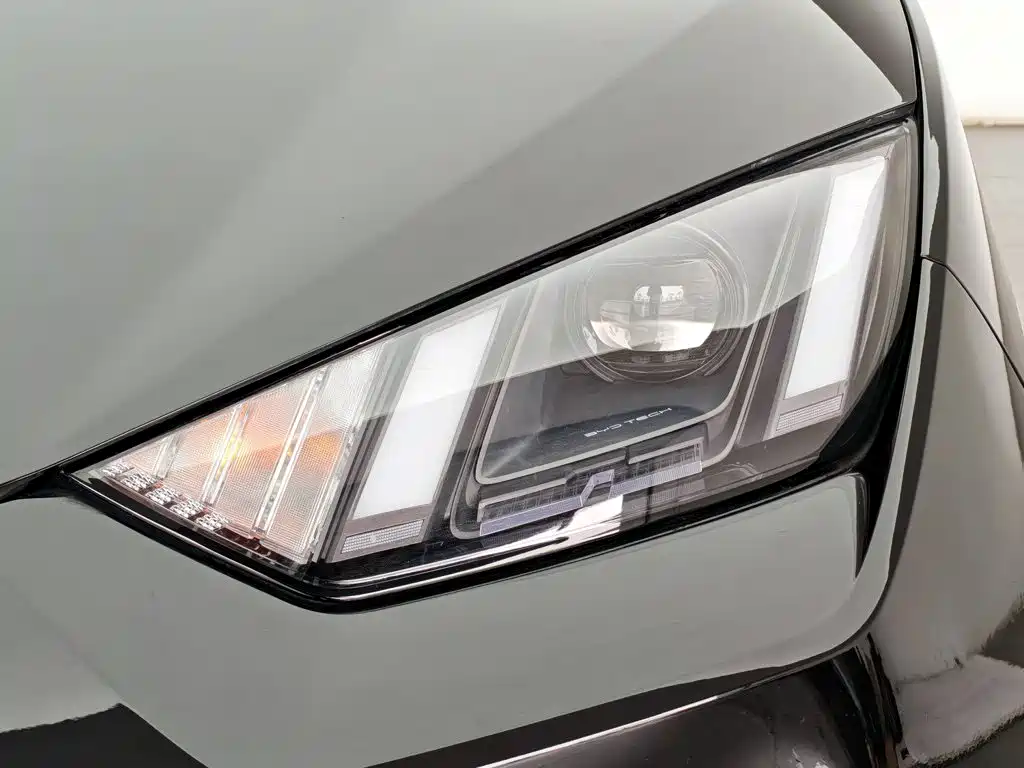 BYD Seagull 2023 Freedom