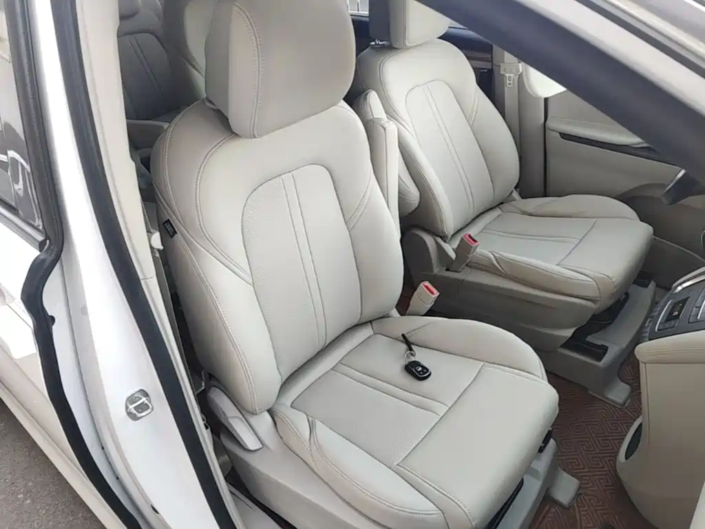 Buick GL8 — миниатюра 25