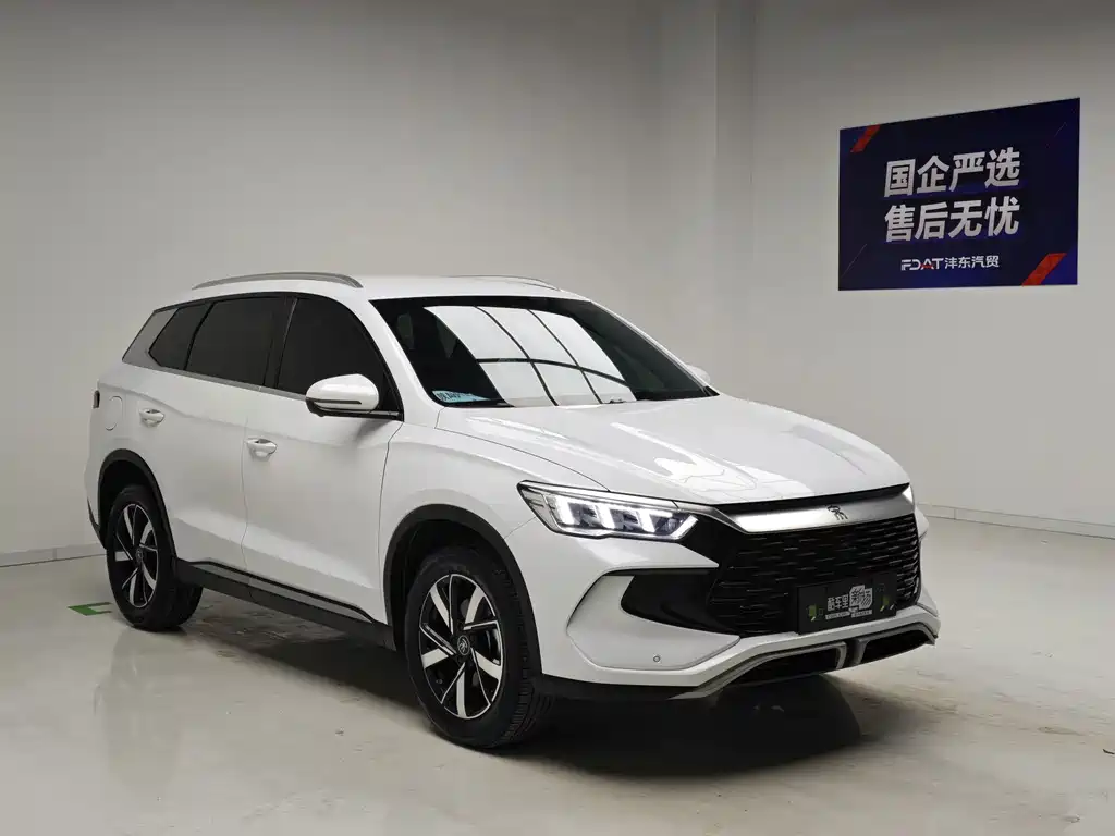 BYD Pro New Energy — миниатюра 3