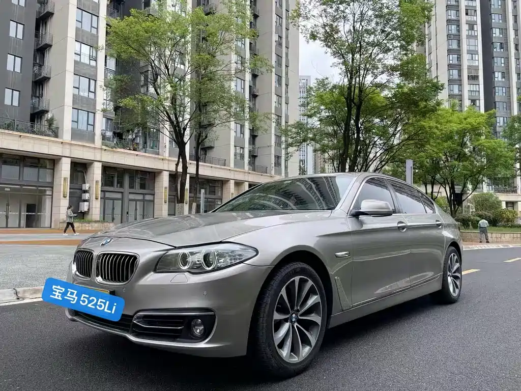 BMW 5 Series 2013