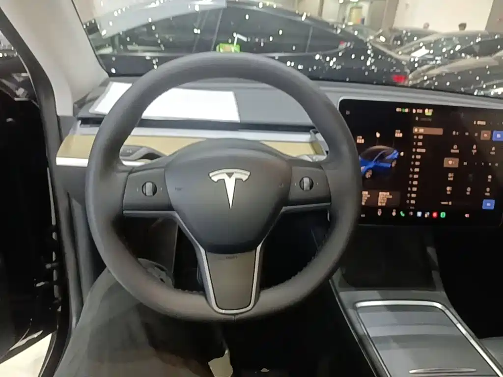 Tesla Model Y — миниатюра 11