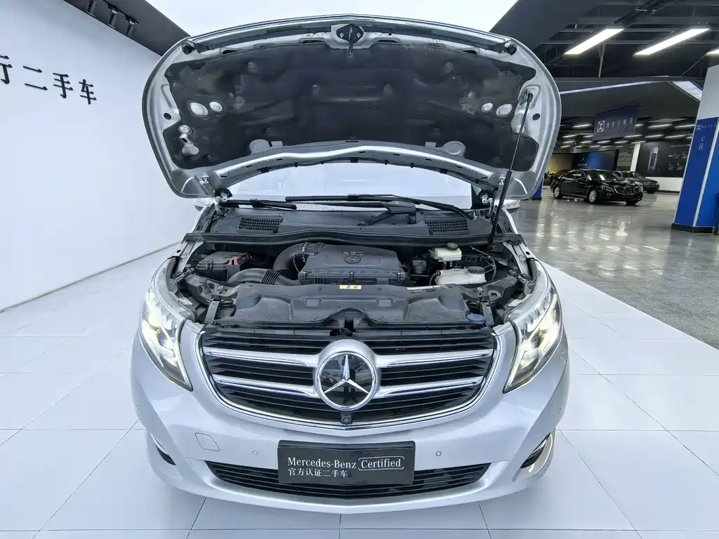 Mercedes-Benz V-Class V 2018 V 260 Luxury VI