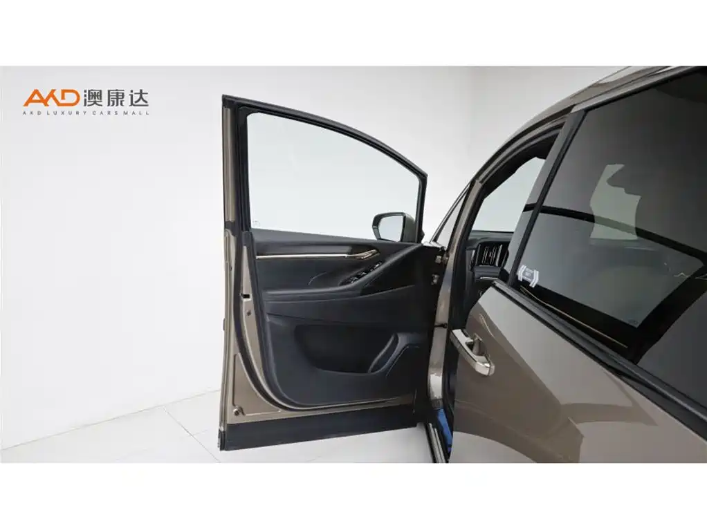 GAC Motor Trumpchi M8 — миниатюра 11