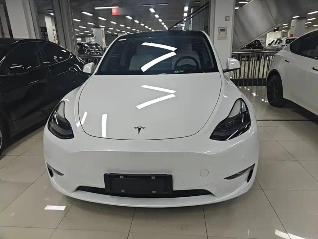 Tesla Model Y — миниатюра 3