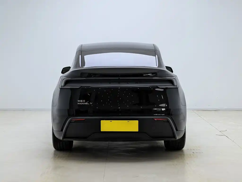 Tesla Model Y — миниатюра 11