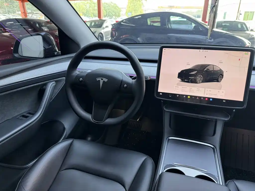 Tesla Model Y — миниатюра 11