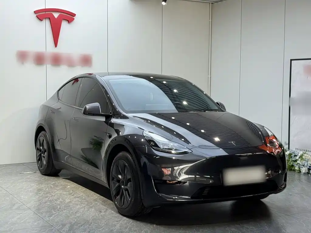 Tesla Model Y — миниатюра 4