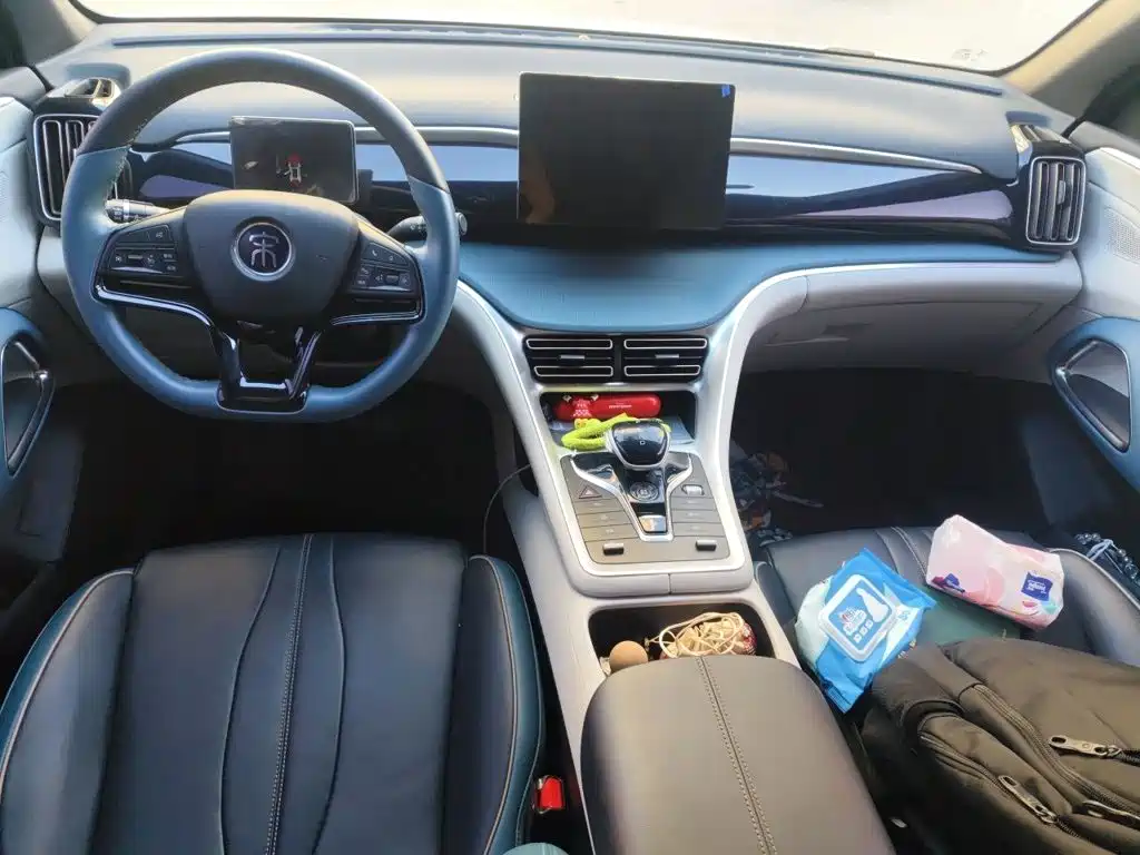BYD Pro — миниатюра 10